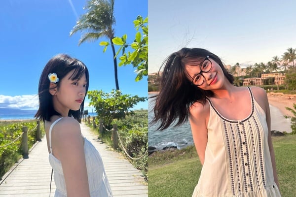 為什麼ISTP鑑賞家會遭人討厭？5大原因公開