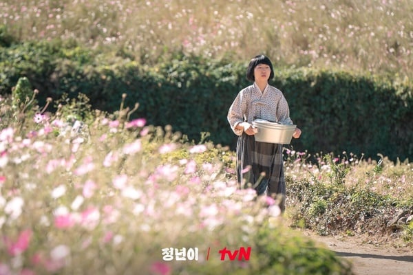 《正年》原著&amp;amp;amp;amp;amp;amp;amp;amp;amp;amp;劇版劇情差異：刪除原著重要配角「芙蓉」，正慈原本是正年的妹妹！