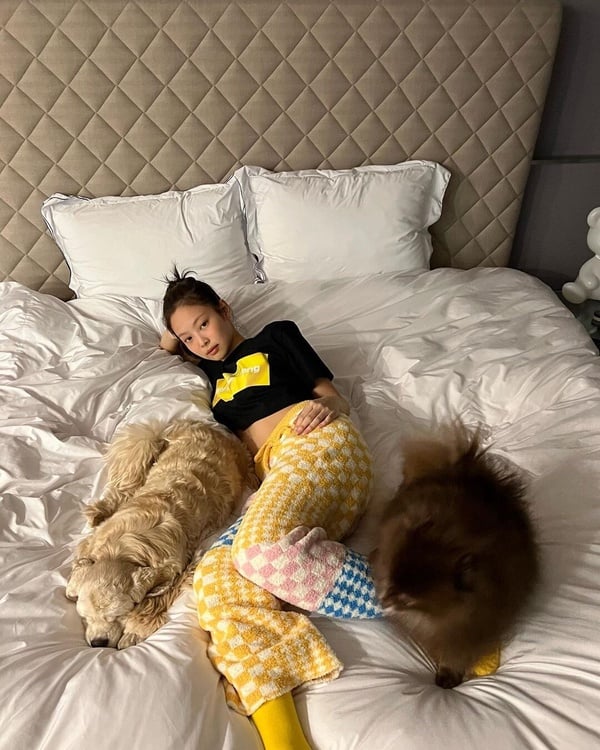 瘦肚子失敗的原因