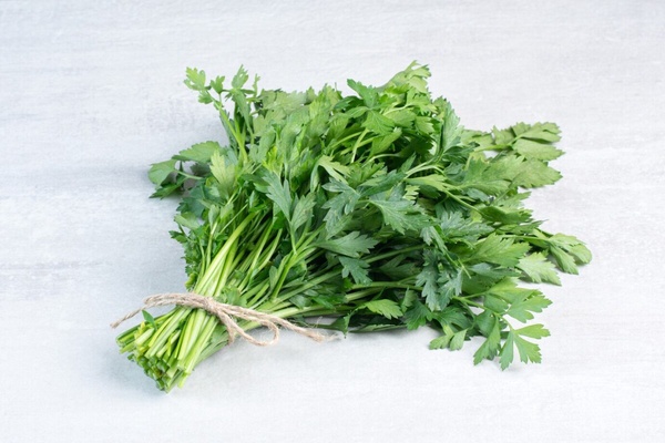 討厭香菜和基因有關？「香菜」營養功效與禁忌：為何有人愛香菜，有人卻無法接受