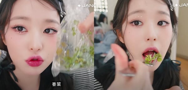 討厭香菜和基因有關？「香菜」營養功效與禁忌：為何有人愛香菜，有人卻無法接受