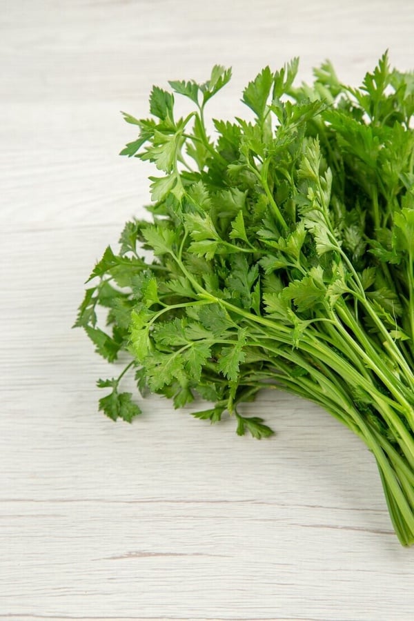 討厭香菜和基因有關？「香菜」營養功效與禁忌：為何有人愛香菜，有人卻無法接受