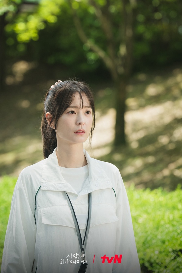 網議11月最期待韓劇TOP8！Netflix《熱血司祭2》第4輸孔劉《一箱情緣》，冠軍全網期待