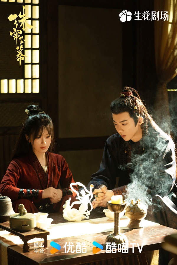 2024Netflix陸劇豆瓣評分TOP10！《玫瑰的故事》7.4分《永夜星河》7.6分，冠軍真的好看