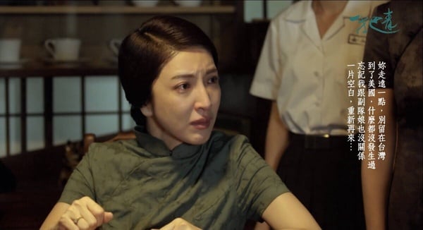 楊謹華主演台劇IMDb評分TOP10！《華燈初上》第5，《影后》第3，冠軍封神很難超越！