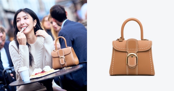 《影后》周凡楊謹華愛用精品包：Delvaux Brillant Mini Surpiqué