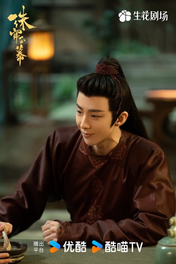 陸劇《珠簾玉幕》10個角色結局！趙露思逆襲為女商人，劉宇寧成功報仇但下場惹哭觀眾