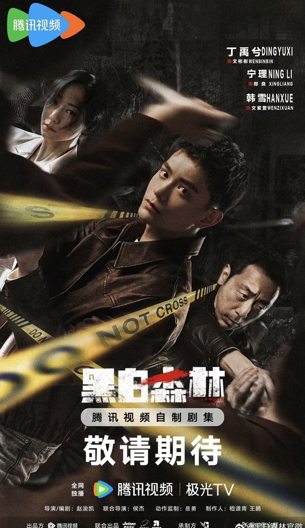 丁禹兮《黑白森林》空降開播，化身青年刑警帥氣破案，劇情五大看點＆角色介紹這邊看！