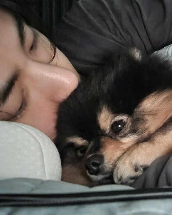 金泰亨愛犬「煤炭」離世！BTS V與愛犬背後故事有洋蔥，「煤炭」超萌影音吸220萬觀看！