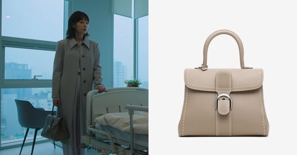 徐玄振《一箱情緣》同款精品包：Delvaux Brillant