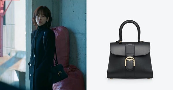 徐玄振《一箱情緣》同款精品包：Delvaux Brillant