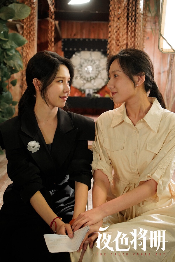 2024讓人驚喜、一追淪陷的9部精品陸劇！《九重紫》是年末黑馬，第9部一致認同錯過可惜