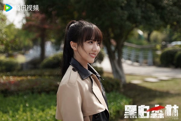 十部12月陸劇哪部好看？《九重紫》超高評 《蜀錦人家》才6.2分，有部古裝大劇錯過可惜