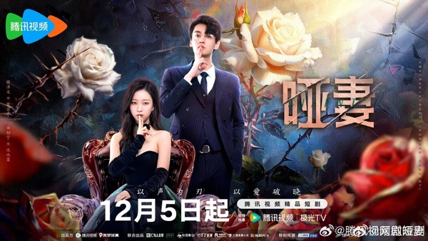 十部12月陸劇哪部好看？《九重紫》超高評 《蜀錦人家》才6.2分，有部古裝大劇錯過可惜