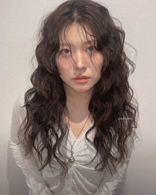 冬季毛絨感燙髮推薦，泰迪捲、羊絨捲