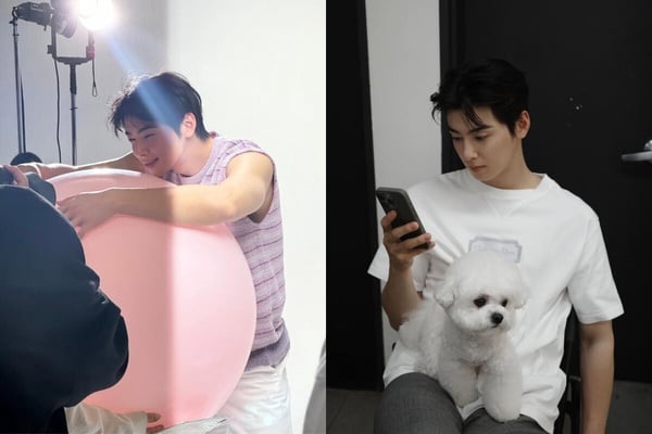為什麼INFJ是J人中最P的人？J人、P人 和 INFJ的比較：INFJ是完有美主義的拖延症患者！