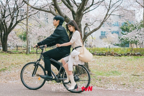 2024觀眾最愛「tvN韓劇」排行!《背著善宰跑》打敗《正年》《媽朋兒》第2，冠軍斷層第1