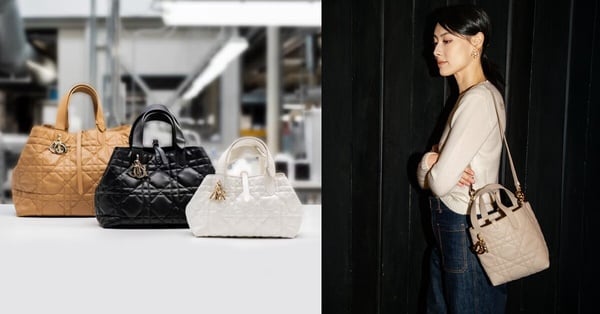 Dior Toujours托特包亮點
