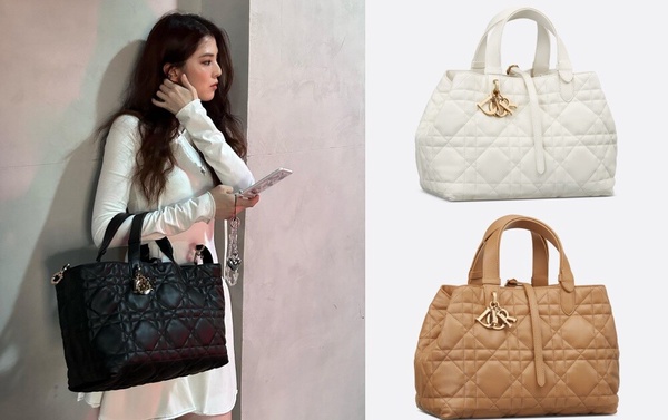 Dior Toujours托特包中型