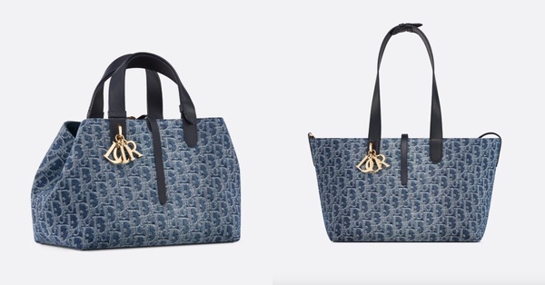 Dior Toujours托特包中型