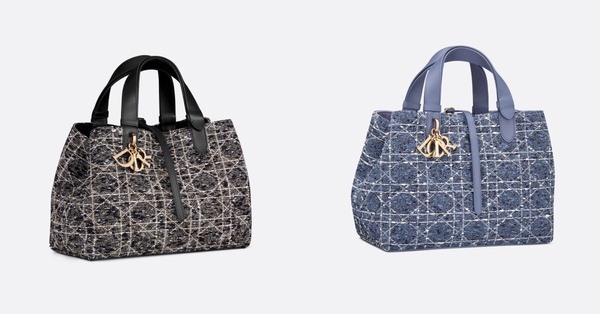 Jisoo機場穿搭搶先曬！Dior Toujours推全新直式托特包，「各尺寸分析＋官網價格」整理