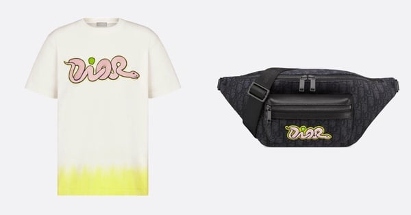 2025精品「蛇年系列」：Dior