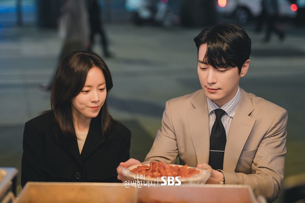 《我的完美秘書》開播評價