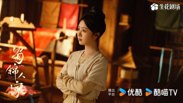 誰是真正的經商大女主？陸劇《國色芳華》、《蜀錦人家》、《珠簾玉幕》口碑成績PK