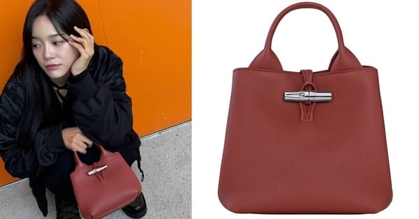 2025「紅色、酒紅色精品包」推薦：Longchamp Le Roseau 手提包