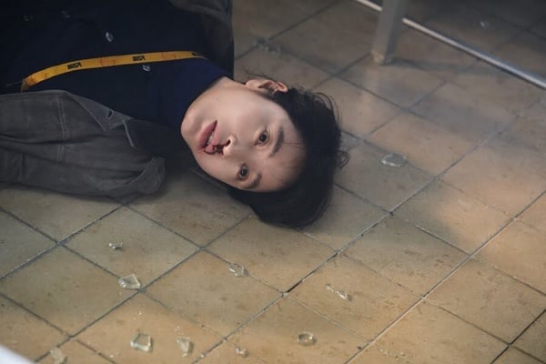 《揭秘最前線》6大劇情看點&amp;amp;amp;amp;amp;amp;角色介紹：鄭星一化身大齡忙內，攜金憓秀揭邪教、虐貓真相