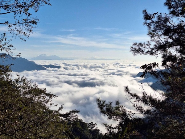 森林系走春行程，盤點北中南森林遊樂區，去這邊過年不怕人擠人!