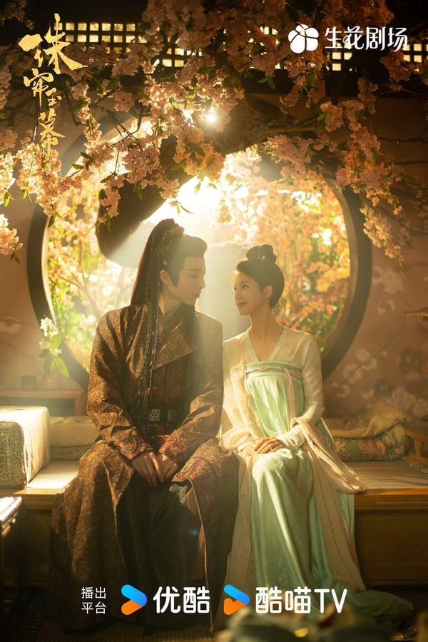 「大女主古裝劇」網播量排行TOP10!《國色芳華》未入榜《墨雨雲間》26億第三，冠軍37億