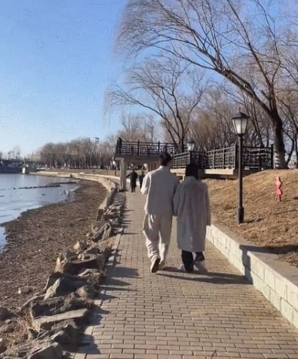 吳謹言、曾之喬快生了？蛇寶寶們