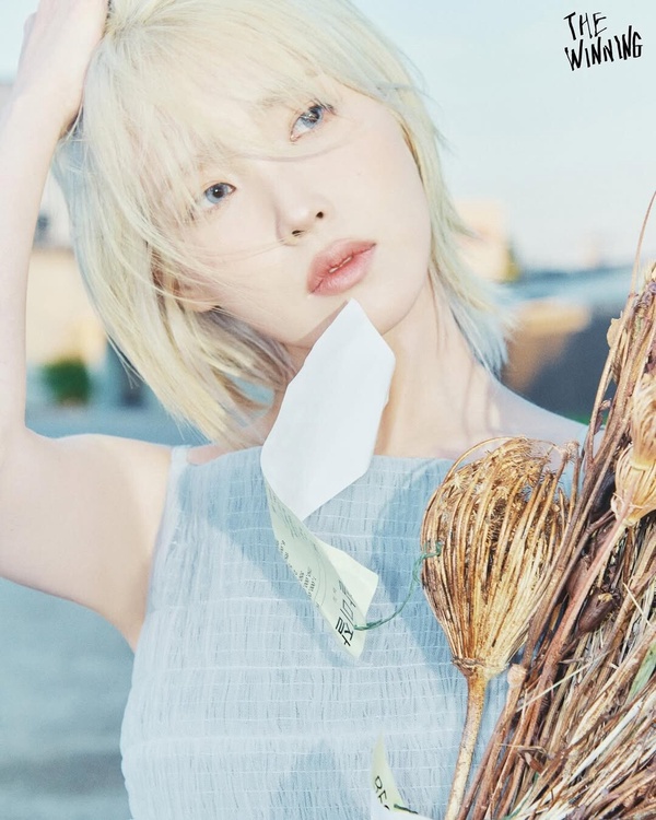 女星金髮女星金髮女星金髮