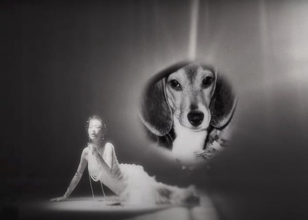 「美麗天使」大S的8件事！《流星花園》杉菜紅遍亞洲，為愛犬吃素，兩段婚姻轟轟烈烈！