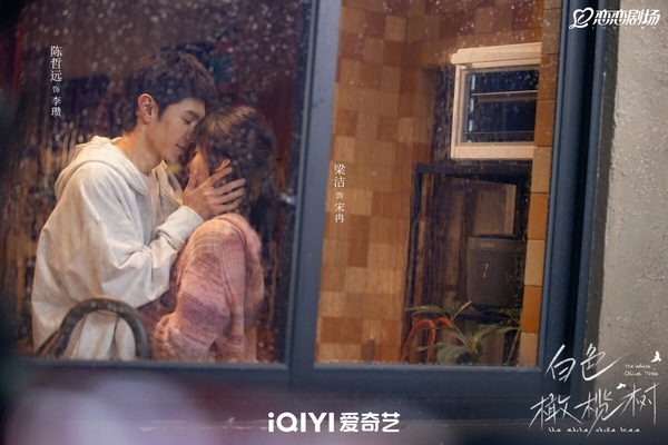 近期最熱門陸劇TOP10！《五福臨門》第5《掌心》好評第4，《白色橄欖樹》第3，冠軍是它