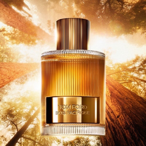溫暖不膩人！2025春季木質調香水推薦：DIOR、LE LABO木質調新香，這款中性香水太貼膚