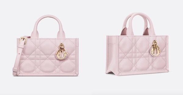 Dior 2025春夏系列必收推薦：Dior Book Tote 迷你托特包