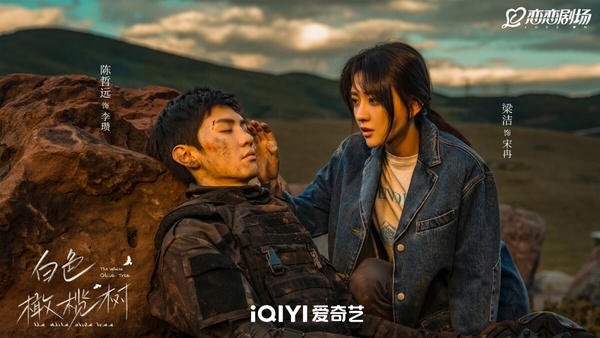 網評近期追的二月陸劇TOP9!《掌心》第6，《五福臨門》第4，《仙台有樹》第2，冠軍是它