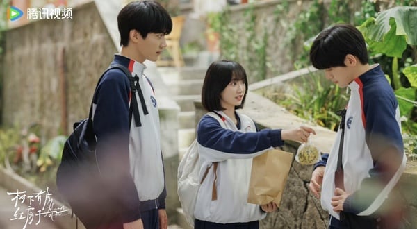 《樹下有片紅房子》劇情看點＆角色介紹：高顏值校園純愛、搞笑四角戀溫暖治癒！