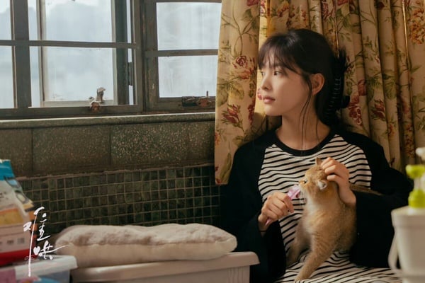 Netflix《難哄》7位演員介紹！