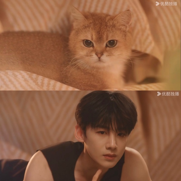 Netflix《難哄》N個幕後彩蛋！
