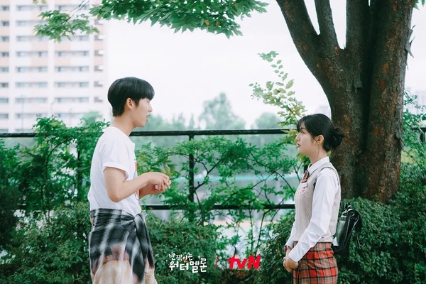8部「Netflix沒播但超好看」韓劇！《善意的競爭》一追上癮，最後兩部從頭到尾都完美！