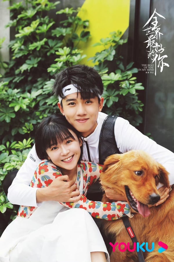 竹已影視化作品盤點：《難哄》《偷偷藏不住》等