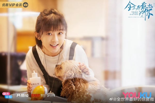 竹已影視化作品盤點：《難哄》《偷偷藏不住》等