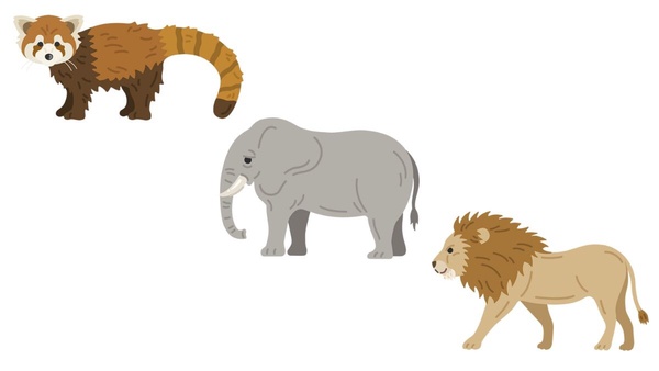 日網超准心理測驗！選三種動物，看出你的「真實性格、他人怎麼看你、對自己的看法」！