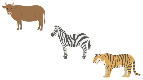 日網超准心理測驗！選三種動物，看出你的「真實性格、他人怎麼看你、對自己的看法」！