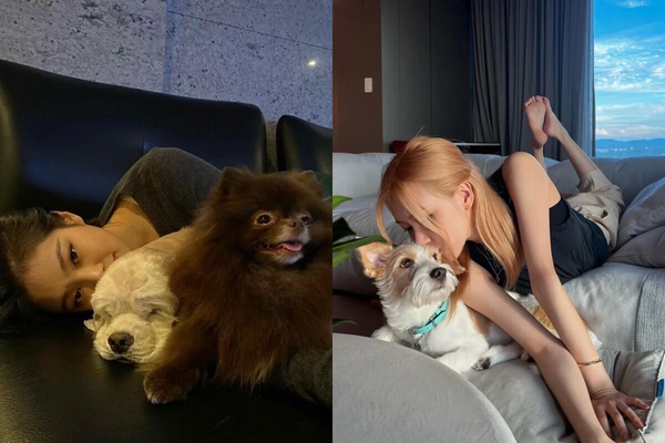 日網超准心理測驗！選三種動物，看出你的「真實性格、他人怎麼看你、對自己的看法」！