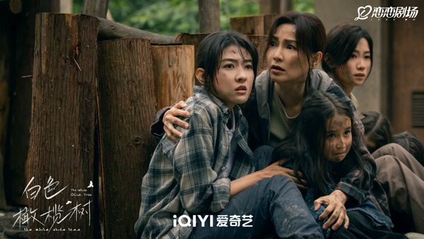 網評近期熱追的「現偶陸劇」排行TOP7！張凌赫《愛你》第3，《濾鏡》好評第2，冠軍是它