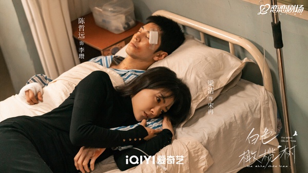 2025第一季「最高分」甜寵陸劇TOP10！白敬亭《難哄》5.4分第8，《愛你》第4，冠軍是它